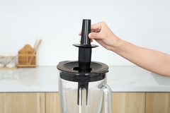 Máy xay sinh tố PHILIPS HR3041/00