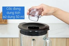 Máy xay sinh tố PHILIPS HR3041/00