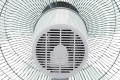 Quạt đứng Sharp PJ-S40RV-LG 50W