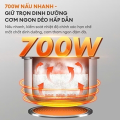 Nồi cơm điện đa năng 2.2L Gaabor RC50M-BE01A