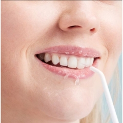 Đầu tăm thường Panasonic WEW0987W451_EW-DJ11 & EW- DJ31