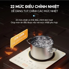 Bếp điện từ AQUA AQS-ICT2201R(C)- VN