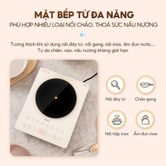 Bếp điện từ AQUA AQS-ICT2201R(C)- VN