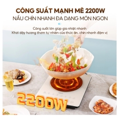 Bếp điện từ AQUA AQS-ICT2201R(C)- VN