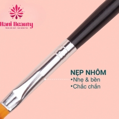 Cọ Xước Ombre