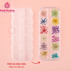 Hoa Khô Trang Trí Móng