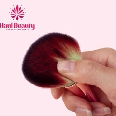 Cọ Phủi Bụi Nail Cán Dài