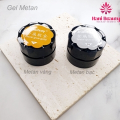 Gel Vẽ Metal