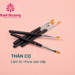 Cọ Xước Ombre