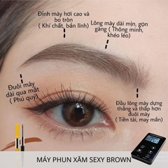 Máy Sexy Brown Ver Mới