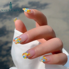 Set Cọ Chấm Bi