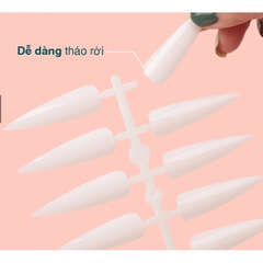 Móng Mẫu Nhọn
