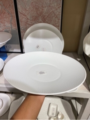 Đĩa nông 11 Skynet