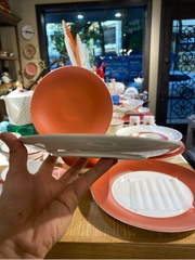 Đĩa nông 20cm Coral