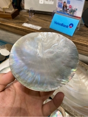 Đĩa vỏ trai