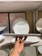 Đĩa méo 12inch Skynet