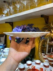 Đĩa ảo 8inch sắc màu