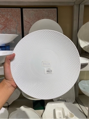 Đĩa nông 10 Skynet