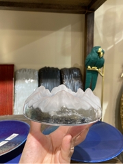 Gạt tàn núi nhám