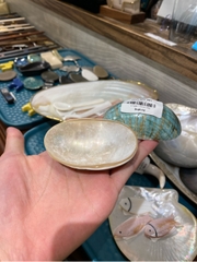 Đĩa vỏ trai