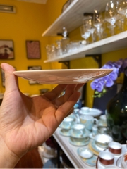 Đĩa kê tách sắc màu