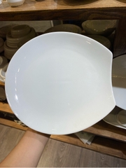 Đĩa cắt góc trắng trơn 9inch