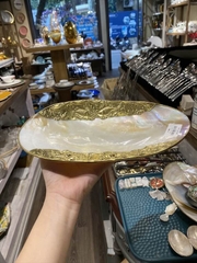 Đĩa vỏ trai