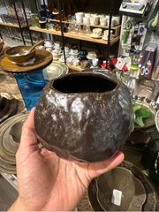 Quả dừa đen đá