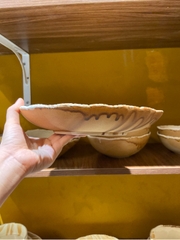 Đĩa sâu 10inch nâu sa mạc