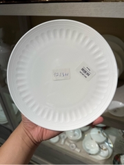 Đĩa ảo 8.25inch Rome