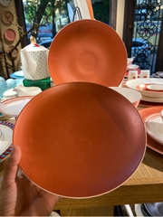 Đĩa ảo 9inch Coral