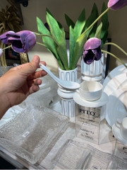 Thìa Diamond