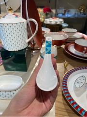 Thìa Gypsophila Collection