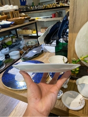 Đĩa nông 8 snow lotus