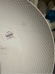 Đĩa sâu 10inch Skynet