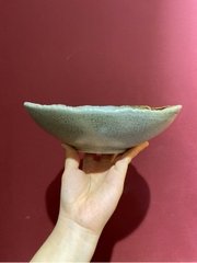 Tô oval 8inch màu ghi