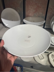 Đĩa sâu 10inch Skynet