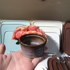 Chén sốt 7x4 cm