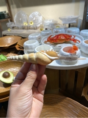 Ốc ngòi