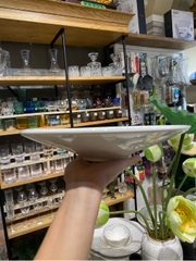 Đĩa nón 10.5inch Hongfu