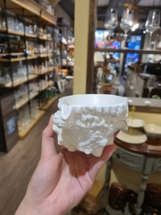 Chén ốc gai vàng 16x9.5cm tuyết trắng