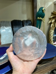 Gạt tàn núi nhám