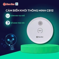 Cảm biến khói, cảm biến nhiệt thông minh Rạng Đông kết nối sóng RF không dây và wifi