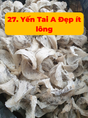 Yến Tai A Đẹp Ít Lông