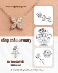 Hoa tai - Đá cao cấp - Viên chủ 5ly - Bạc 925