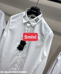 Áo sơ mi DG cổ