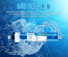 Máy Lọc Nước RO iSAQUA 08 Cấp ASANZO ASZ-802TS