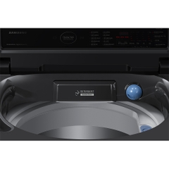 Máy giặt Samsung Inverter 9.5 Kg WA95CG4545BDSV