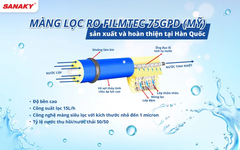 Máy Lọc Nước Inverter Sanaky VH-6210VD3