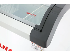 Tủ Đông Sanaky 280 Lít VH-3899KB (kính cong 1N, viền xám)